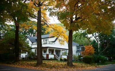 The Dirty Truth About Gutter Cleaning: Why It’s Necessary
